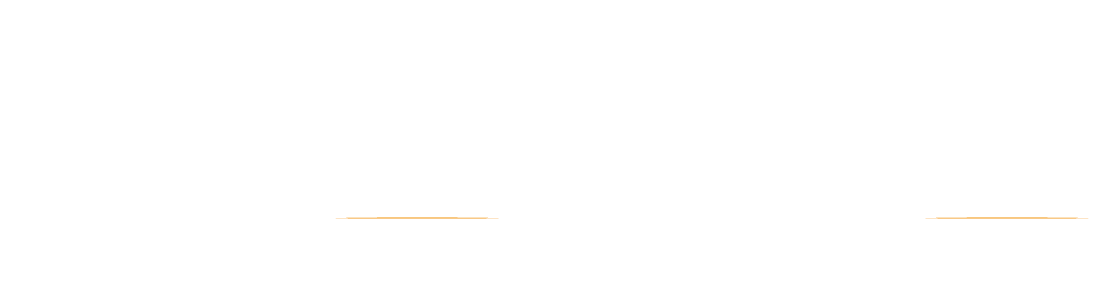 TransLine Cargo